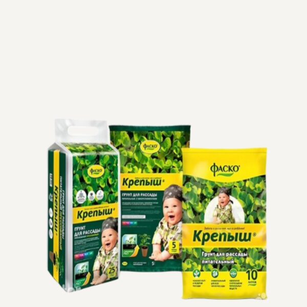 Главная